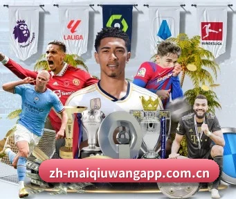 买球网 APP